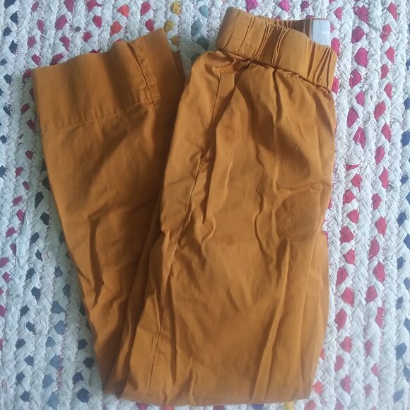 Everlane Easy Pant in Amber 6 - Picture 3 of 5